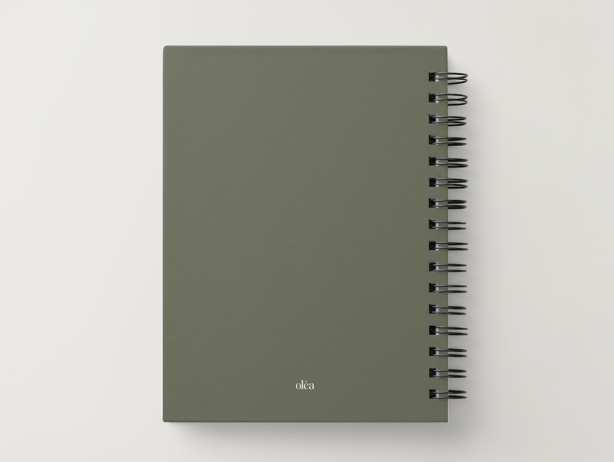 Screenshot 2025-12-10 at 2.38.55 PM.png