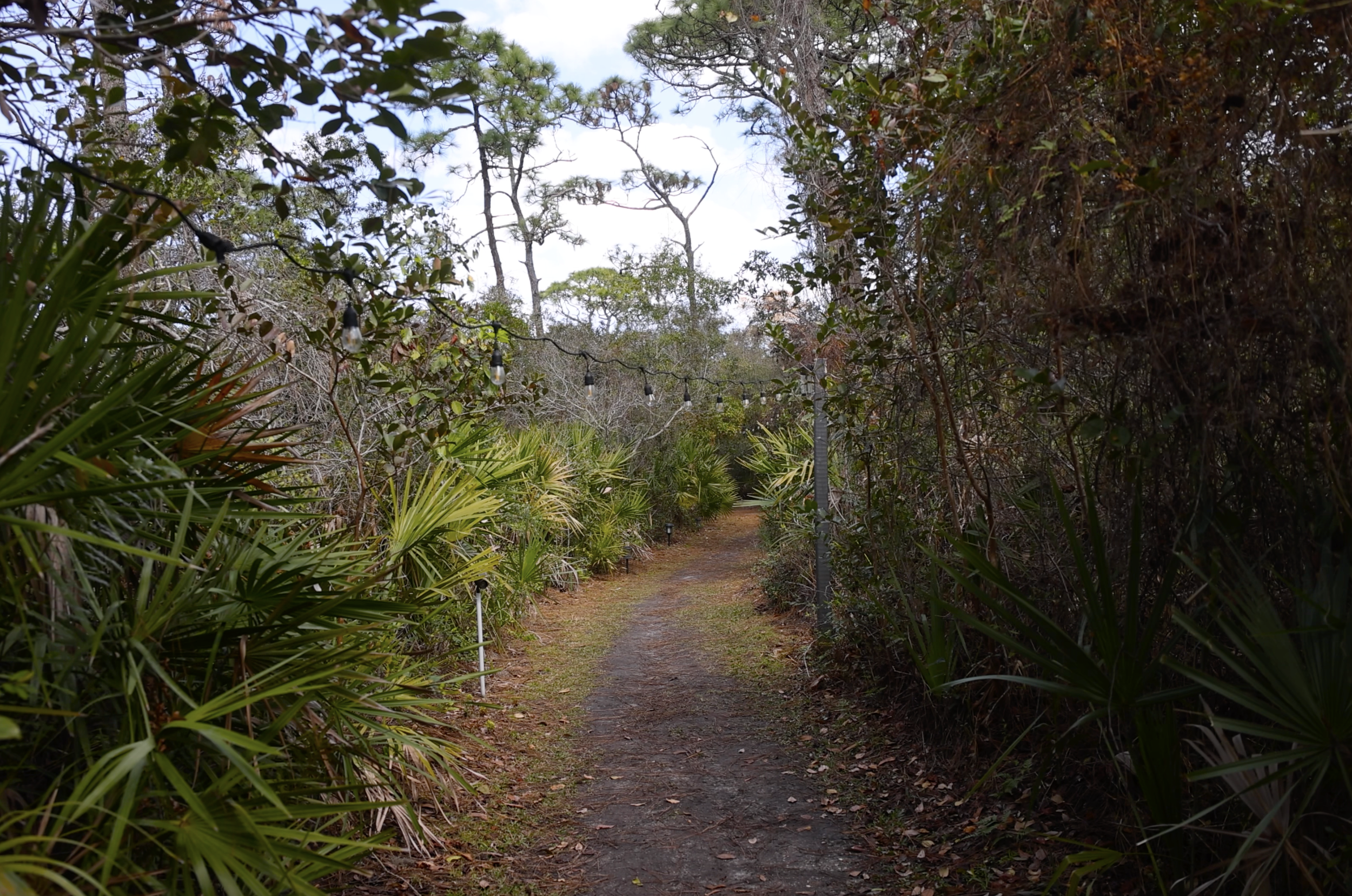 Screenshot 2026-03-03 at 2.58.02 PM.png