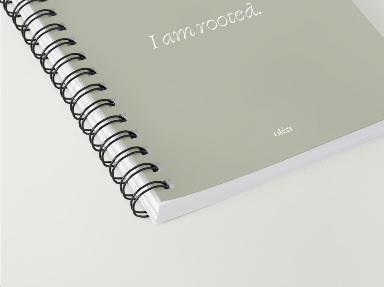 Screenshot 2025-12-10 at 3.48.23 PM.png