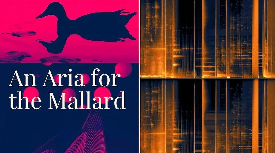 An Aria for the Mallard de Rosana Antolí