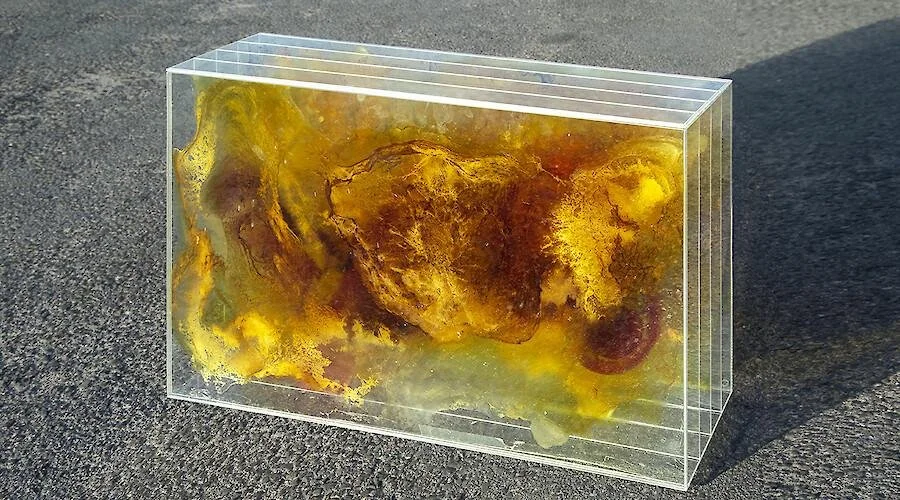 A Invenção das Distâncias de César Barrio