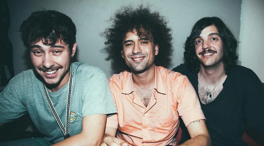 The Parrots em concerto