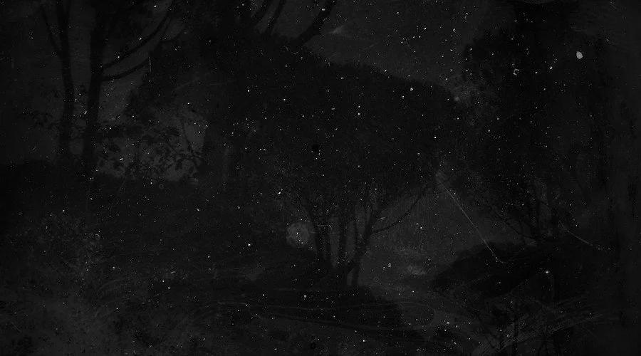 AnaMary Bilbao: Apologia da Floresta e Outras Impressões