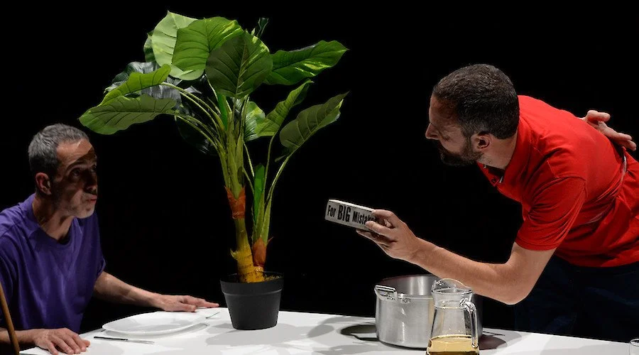 Miguel Pereira e Guillem Mont de Palol. Falsos amigos