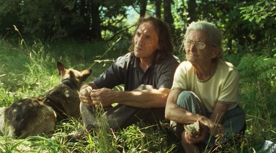 Festival Periferias 2020