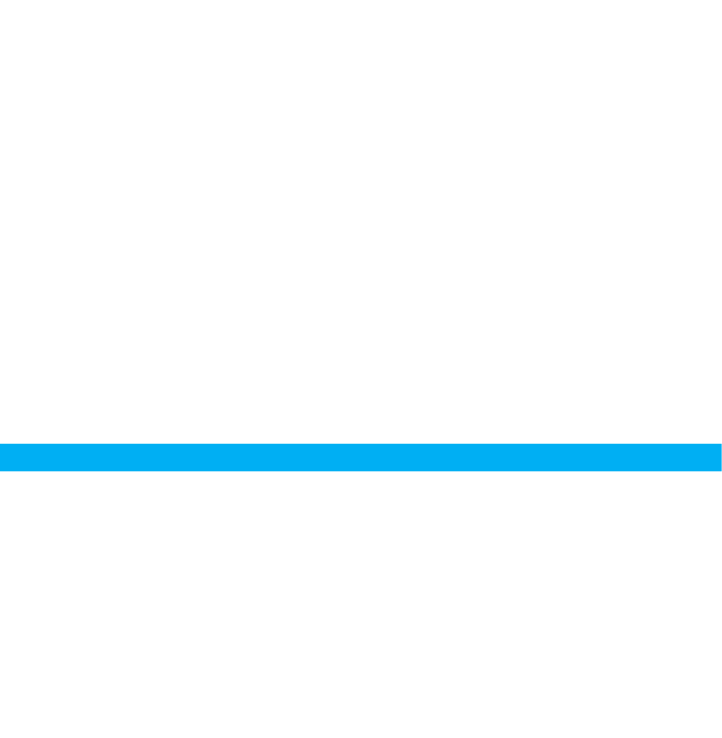 Elevated Spirits