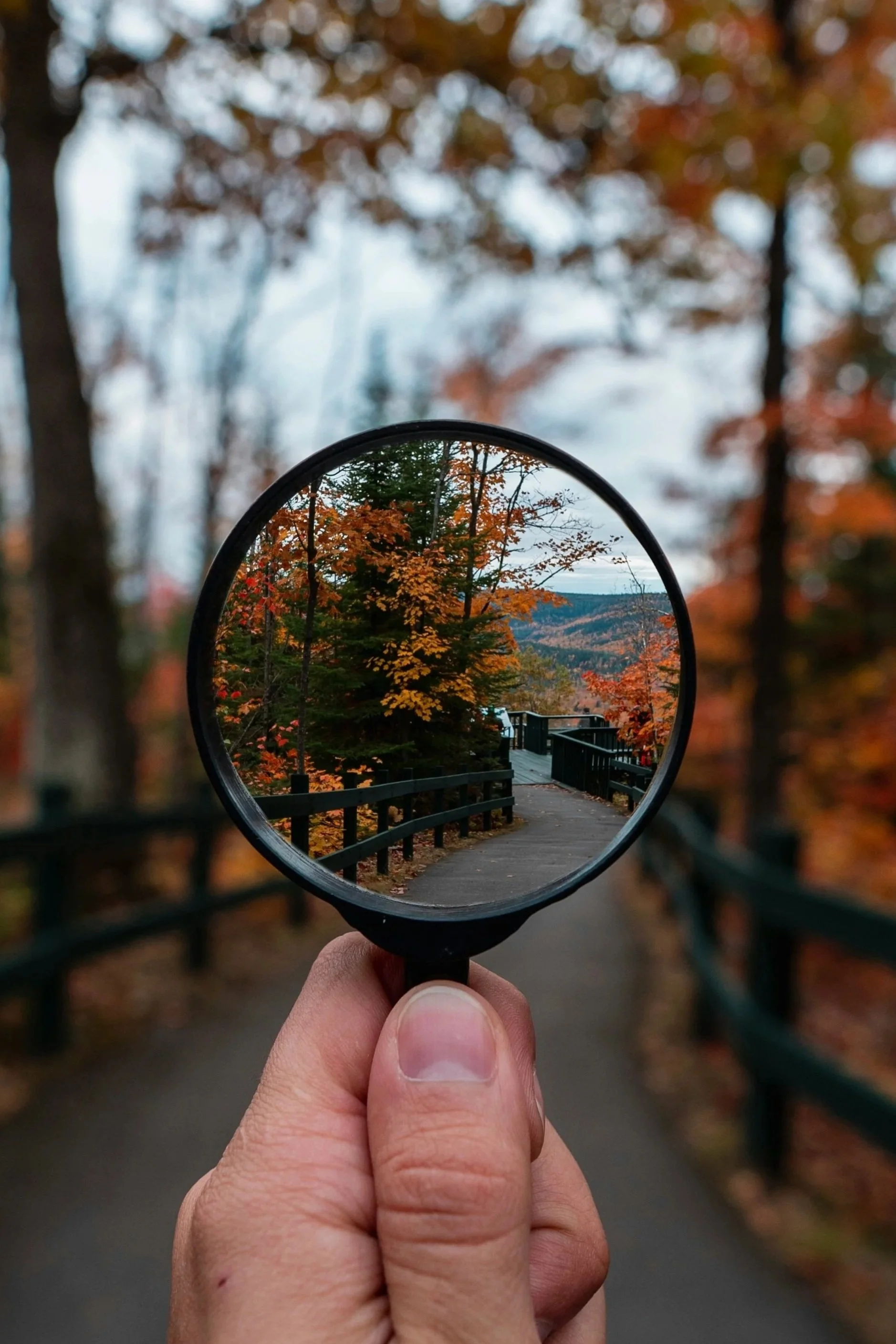 A hand holding a small mirror reflecting a scenic autumn landscape with trees in fall colors and a trail.