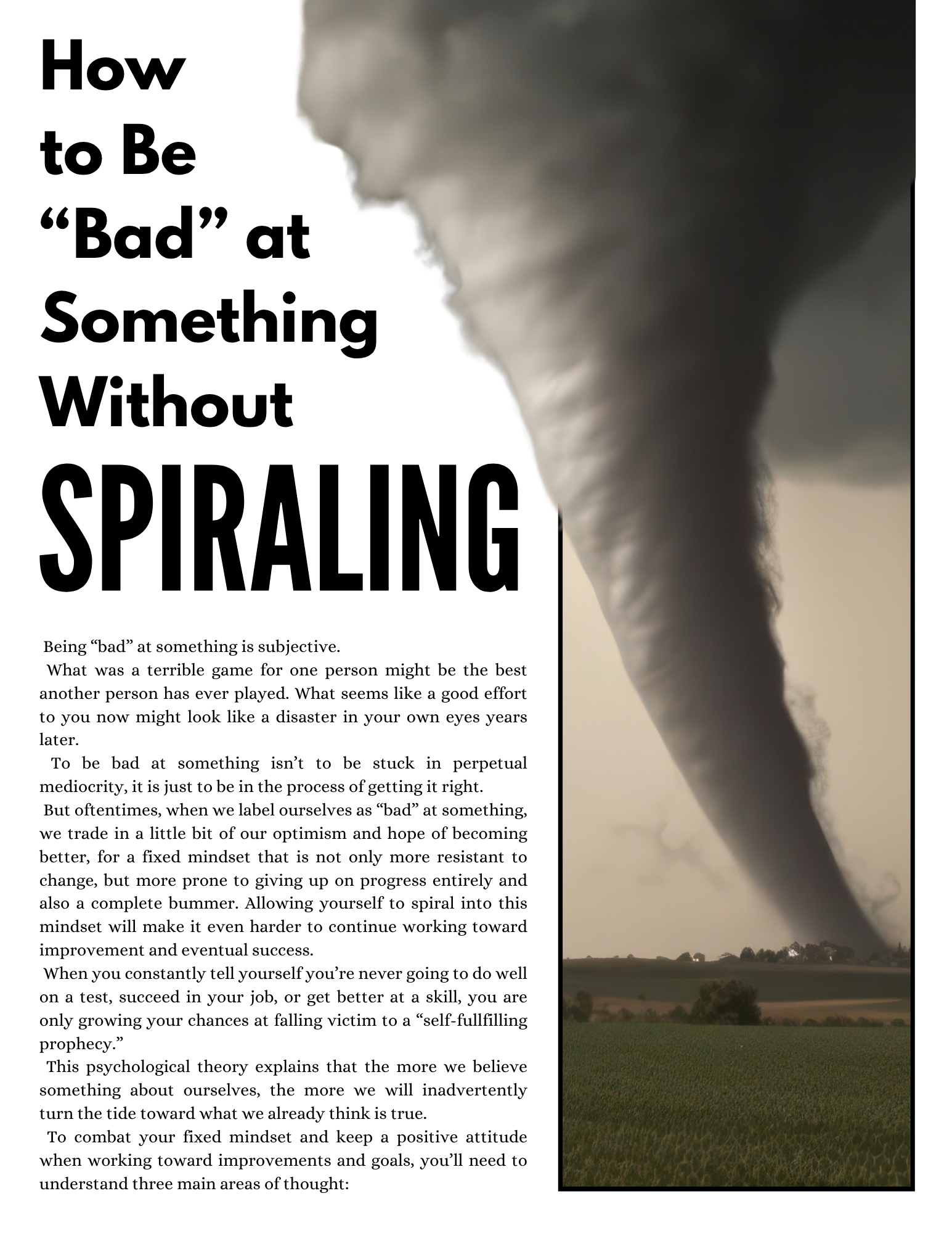 Silly Goose Magazine Issue. 04 (1).png