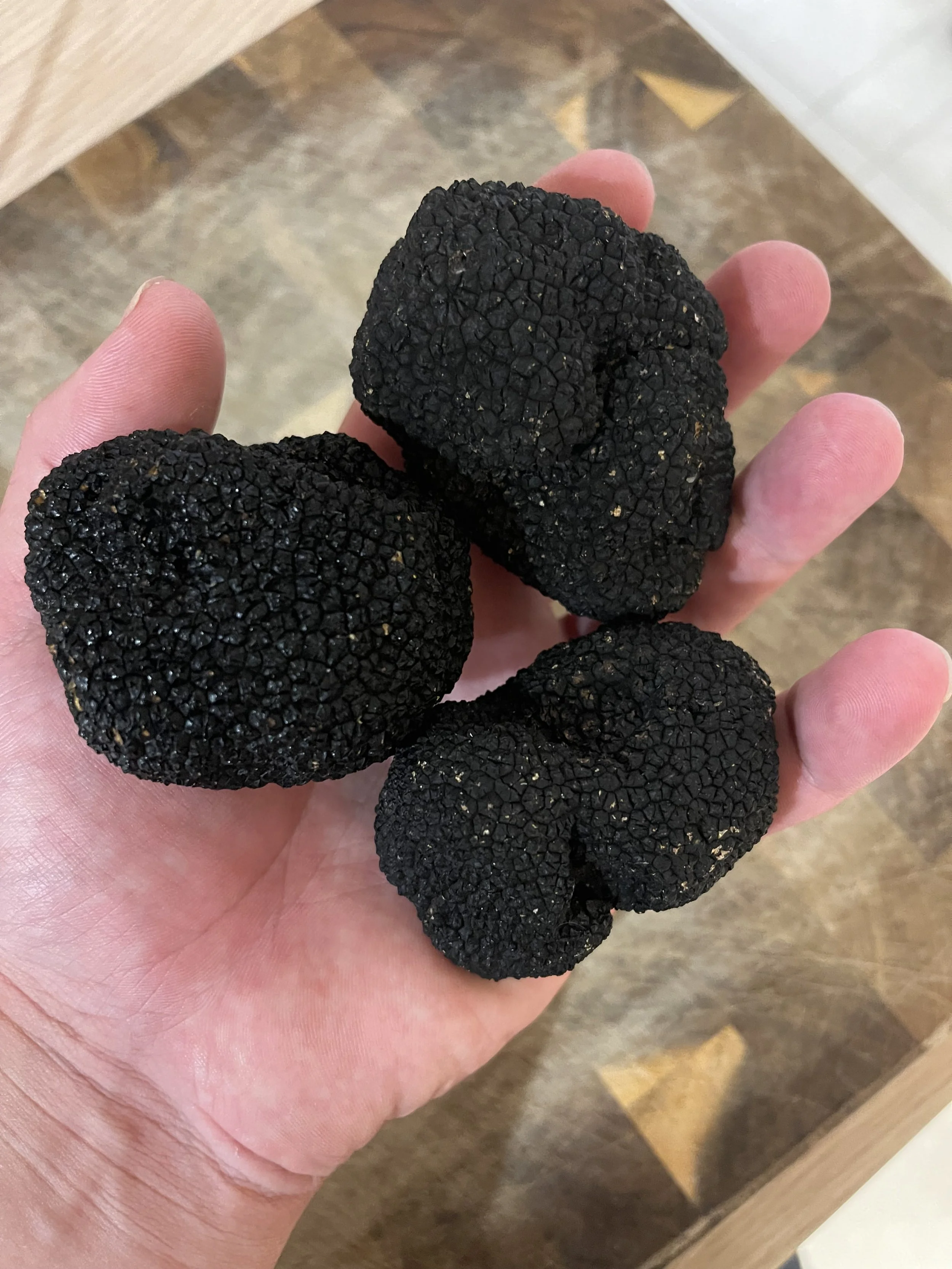 Vier zwarte truffels in een hand, met een houten vloer op de achtergrond. #chefvandenberghe , chef van den berghe , private dining, private chef aan huis