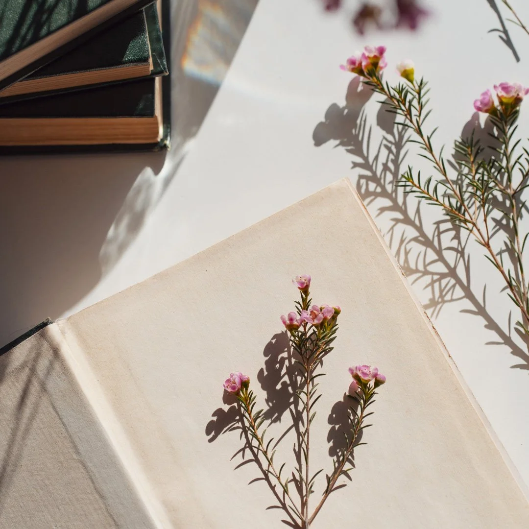 Open book with a pink flowering plant resting on its pages, casting shadows on white surface, beside a stack of closed books.