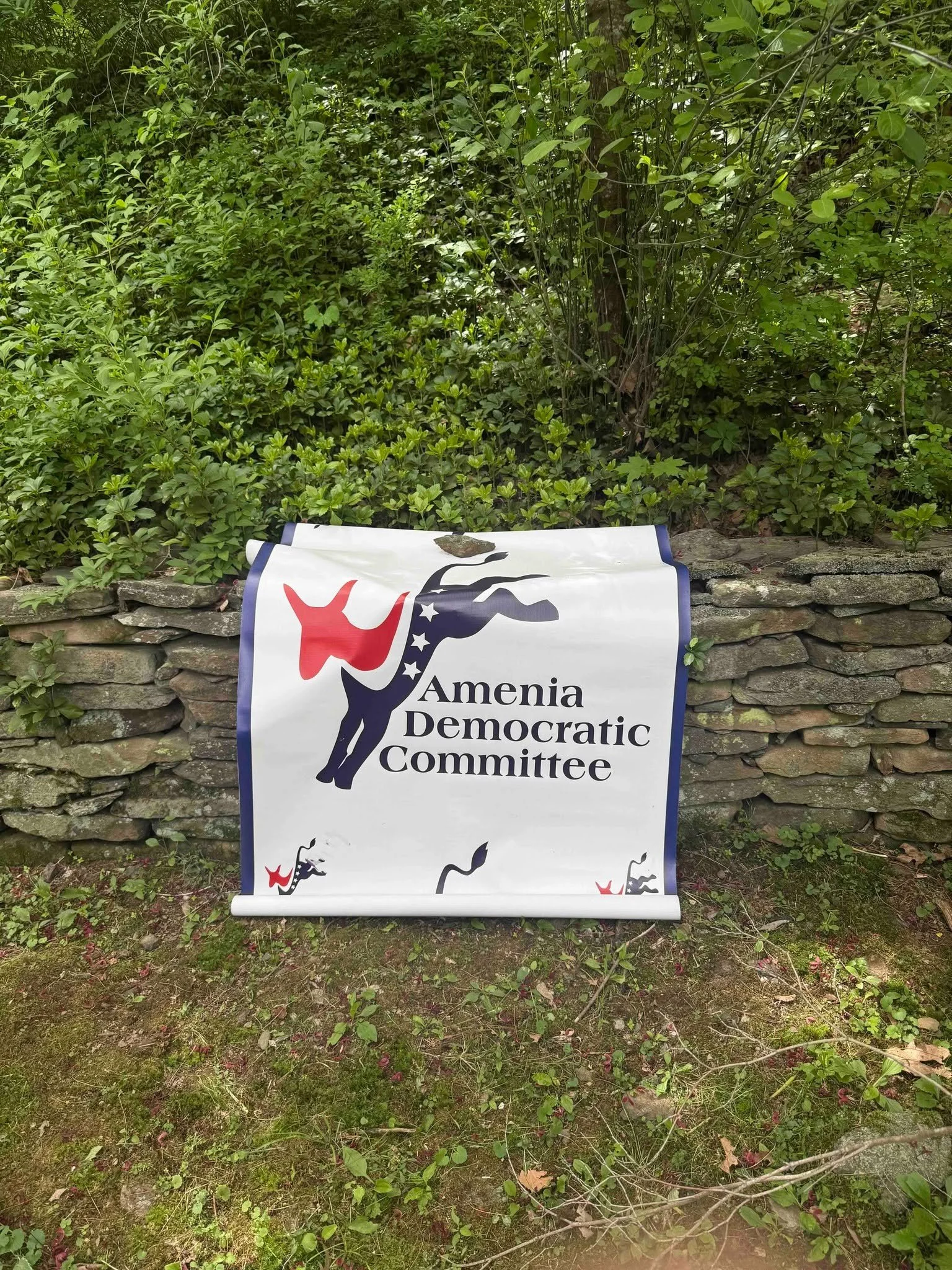 Thank you to the Amenia Democrats for hosting such an important opportunity for your constituents and candidates -- Candidate Meet &amp; Greets play a vital role in the process of becoming an educated voter.

Was pleased to have the chance to speak w