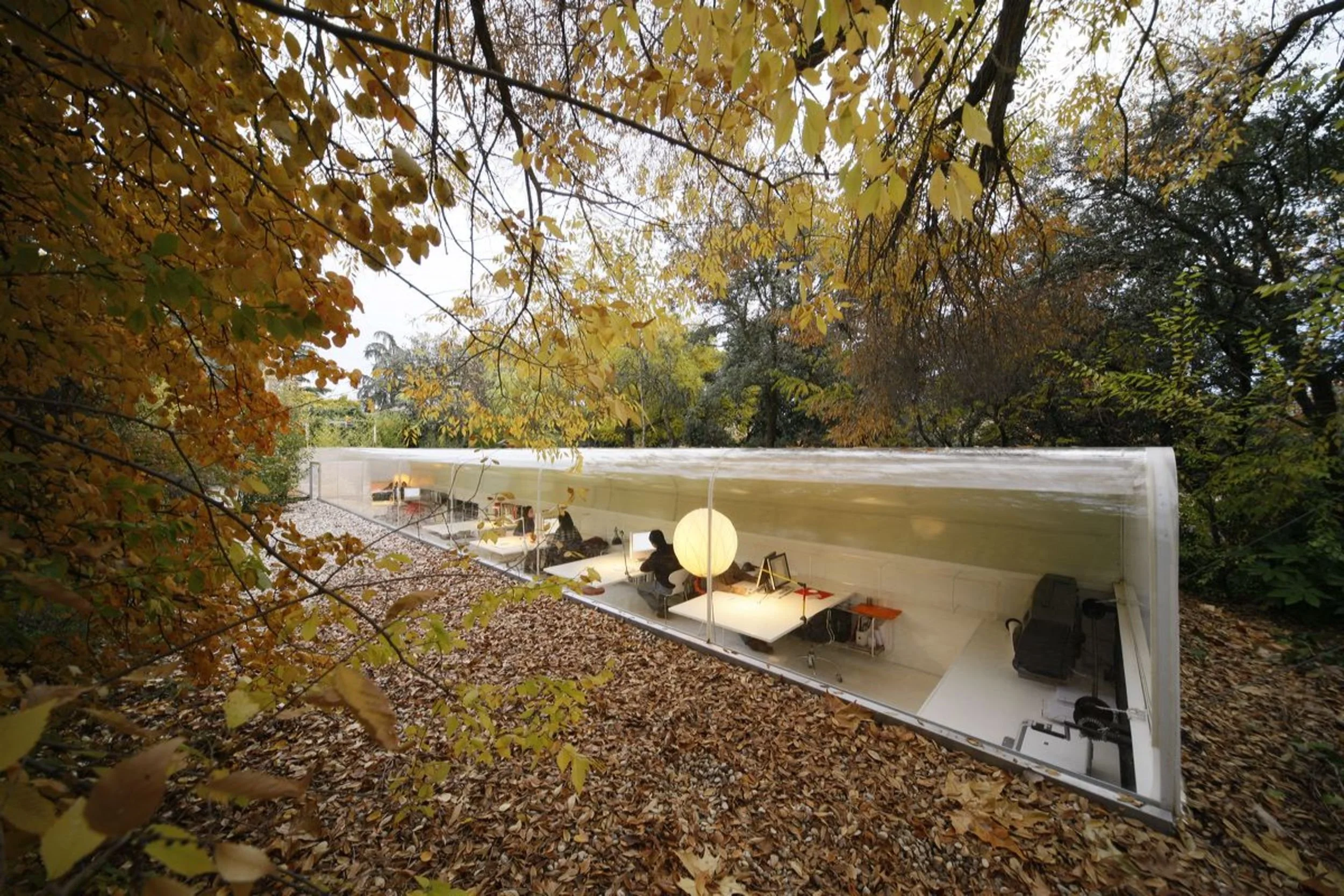 Estudio dentro de una biblioteca o espacio de trabajo moderno con paredes de cristal, vista a áreas verdes con hojas caídas y árboles de otoño, varias personas trabajando en computadoras en mesas ordenadas.
