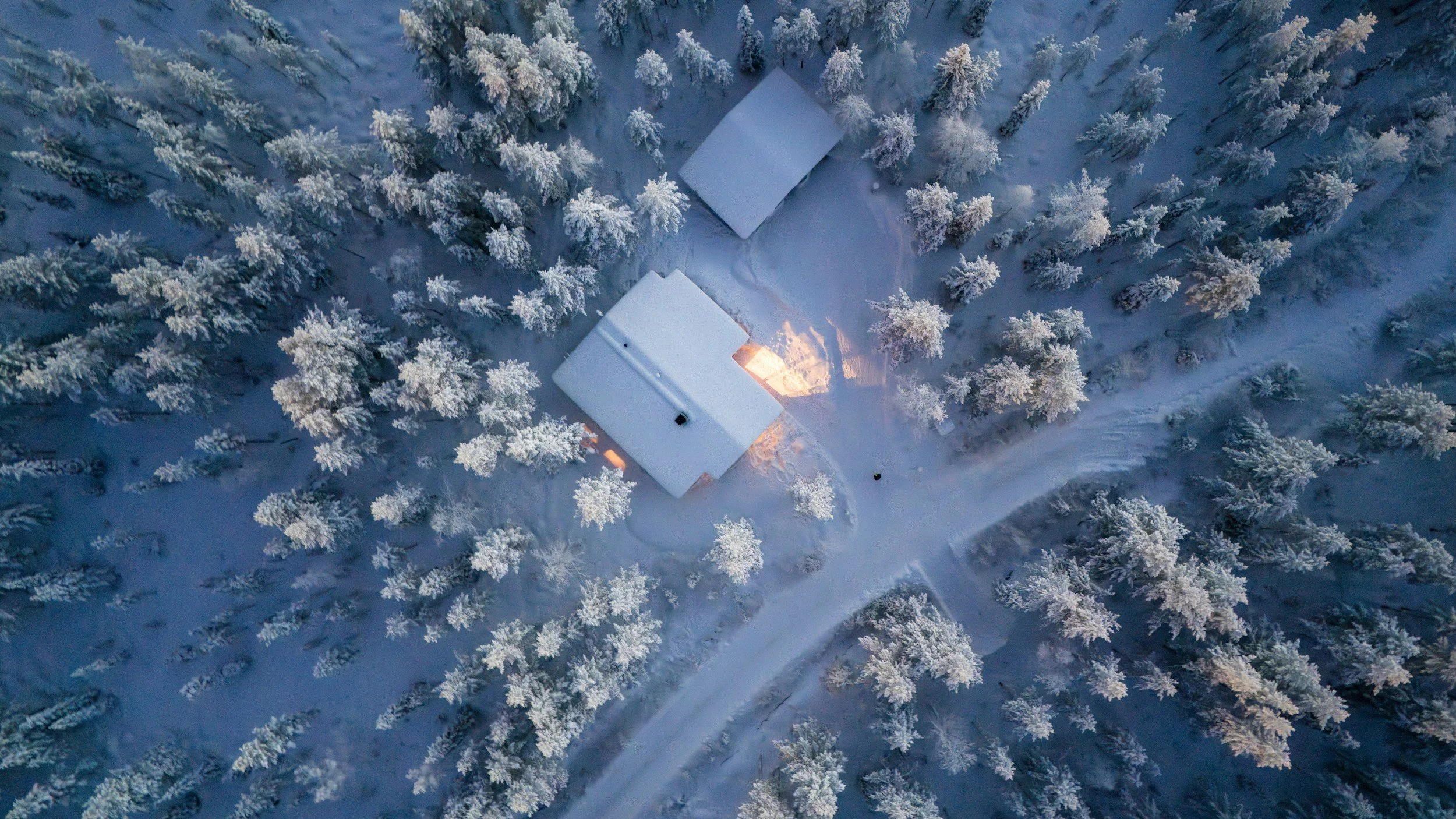 Aerial view of a snowy forest with two houses, one with lights on, and a snow-covered winding path in winter.