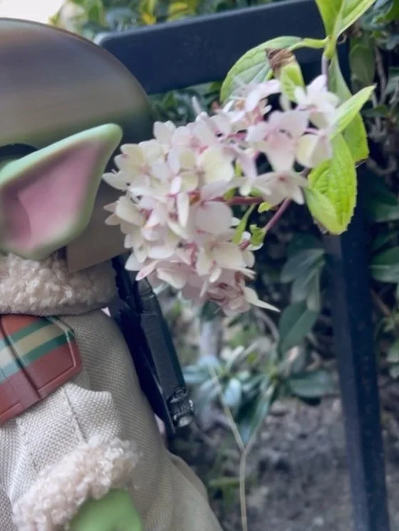 In the shadowy underbelly of the covert foundling clan, two figures stand out not just for their prowess in battle, but for their camaraderie and history. Meet Duke and Flint, the sergeants-at-arms whose reputation echoes through the ranks.

Duke: Bo