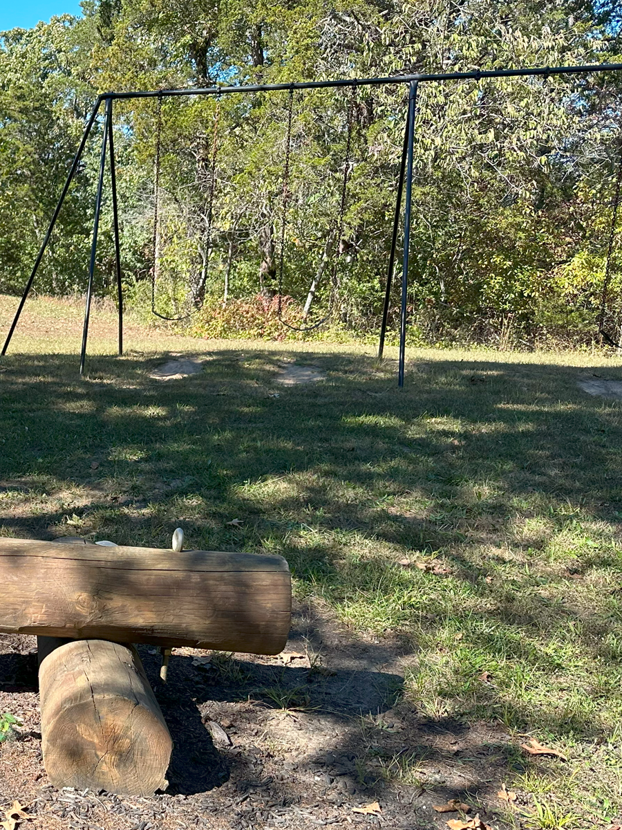 Empty children’s swing set in a grassy park with a wooden log bench in the foreground and trees in the background.
