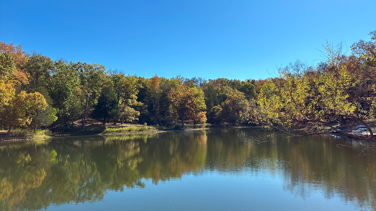 A calm lake with trees starting to change color, under a clear blue sky, reflecting the foliage on the water's surface.