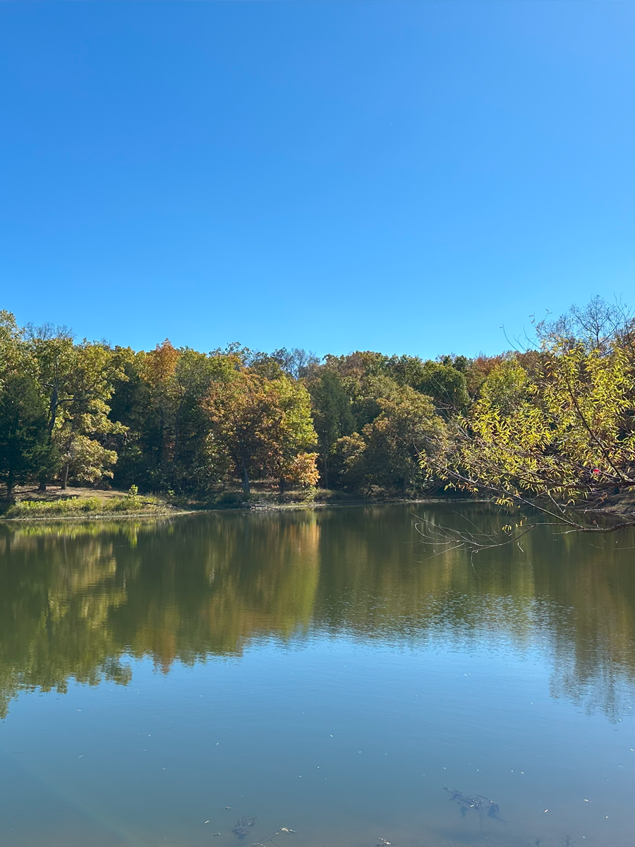 A calm lake reflecting trees with fall foliage under a clear blue sky.