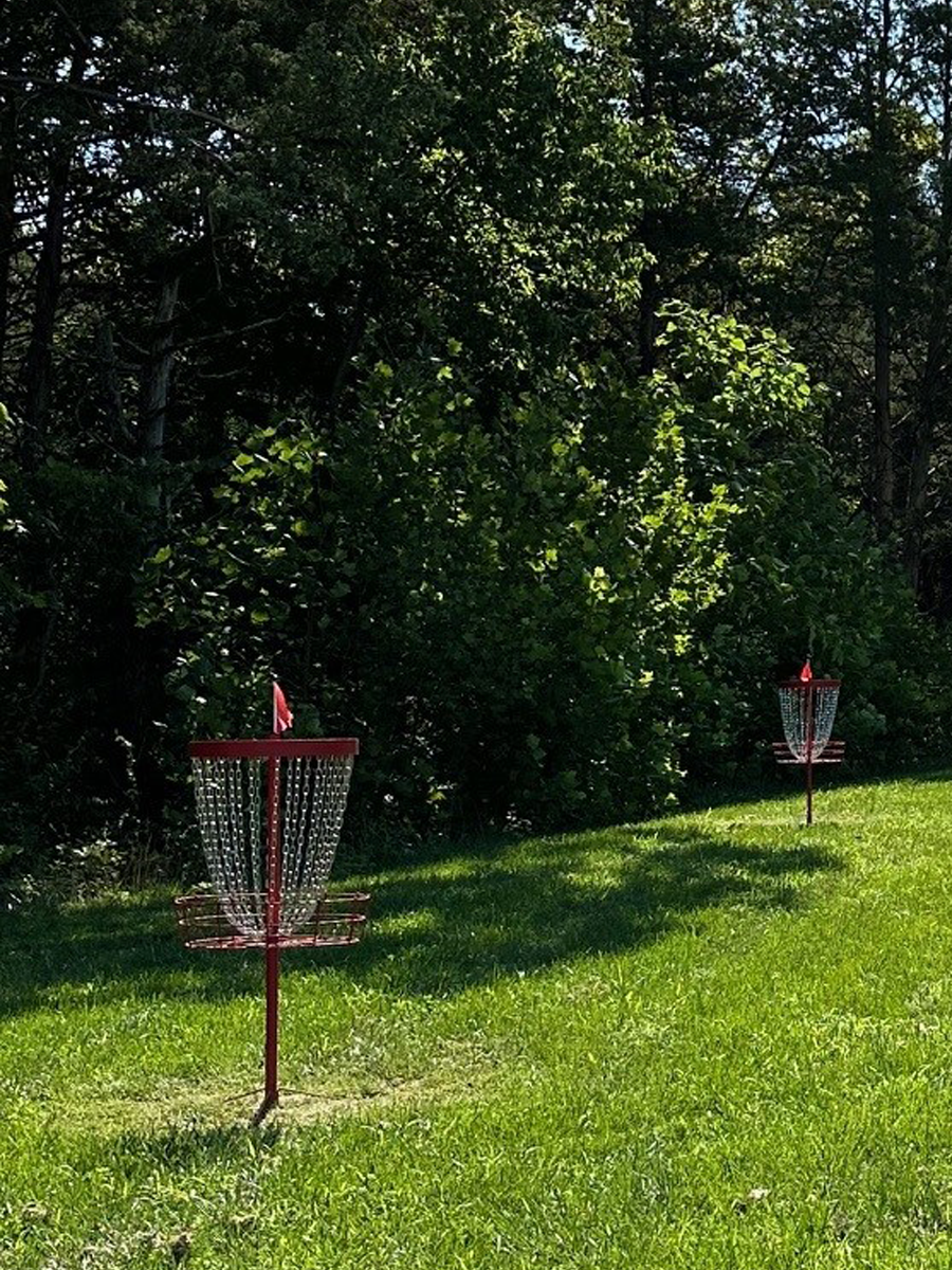 Two disc golf basket targets in a grassy area with trees in the background.
