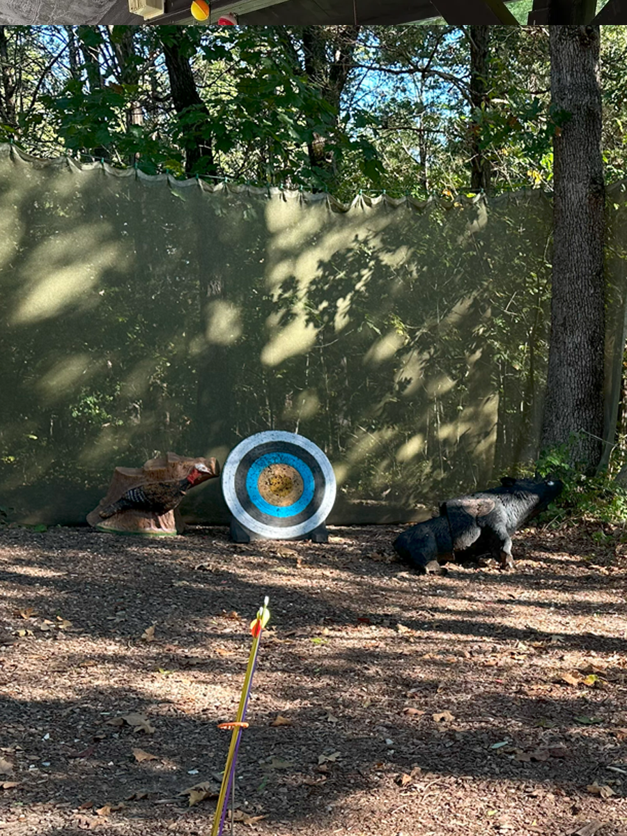 Archery target set against a wooded backdrop with a carved bear and a carved hog sculpture nearby, sunlight filtering through trees.