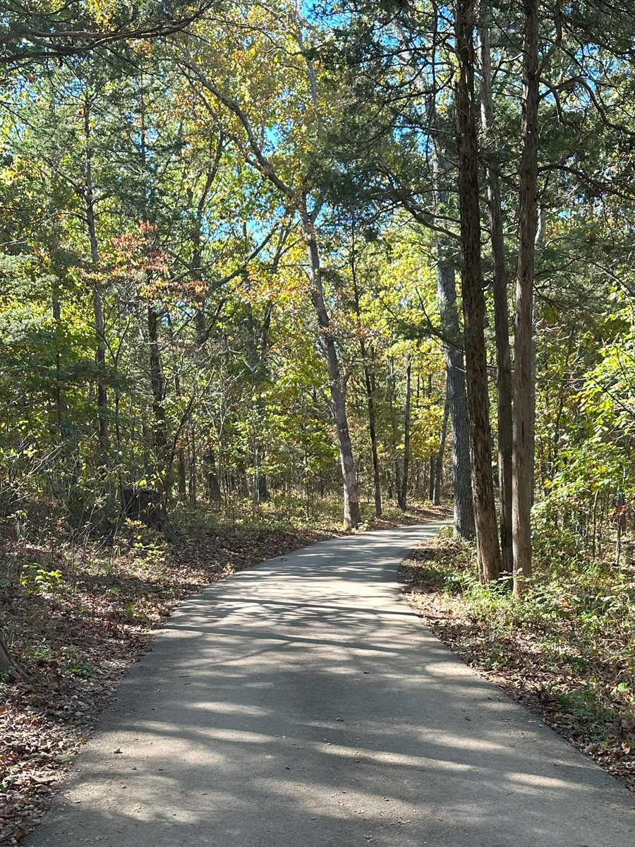 A winding paved path through a forest with trees and sunlight filtering through the leaves.