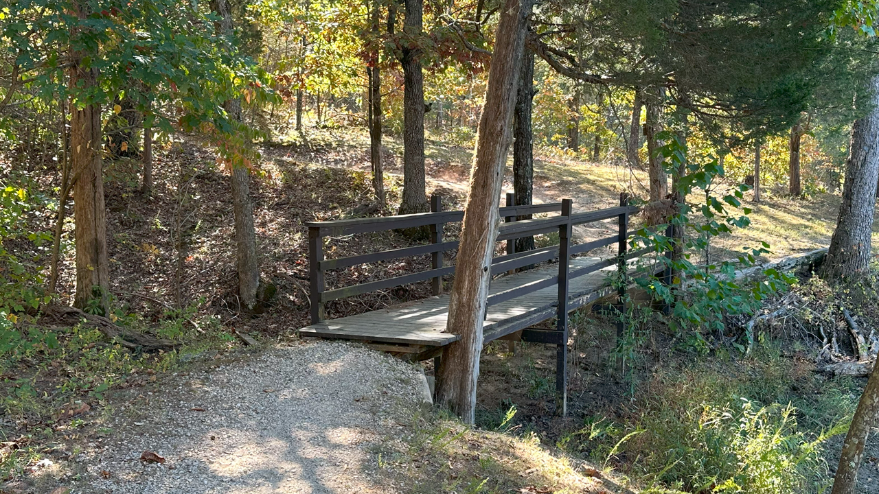 Wooden footbridge in a wooded area with trees and sunlight filtering through