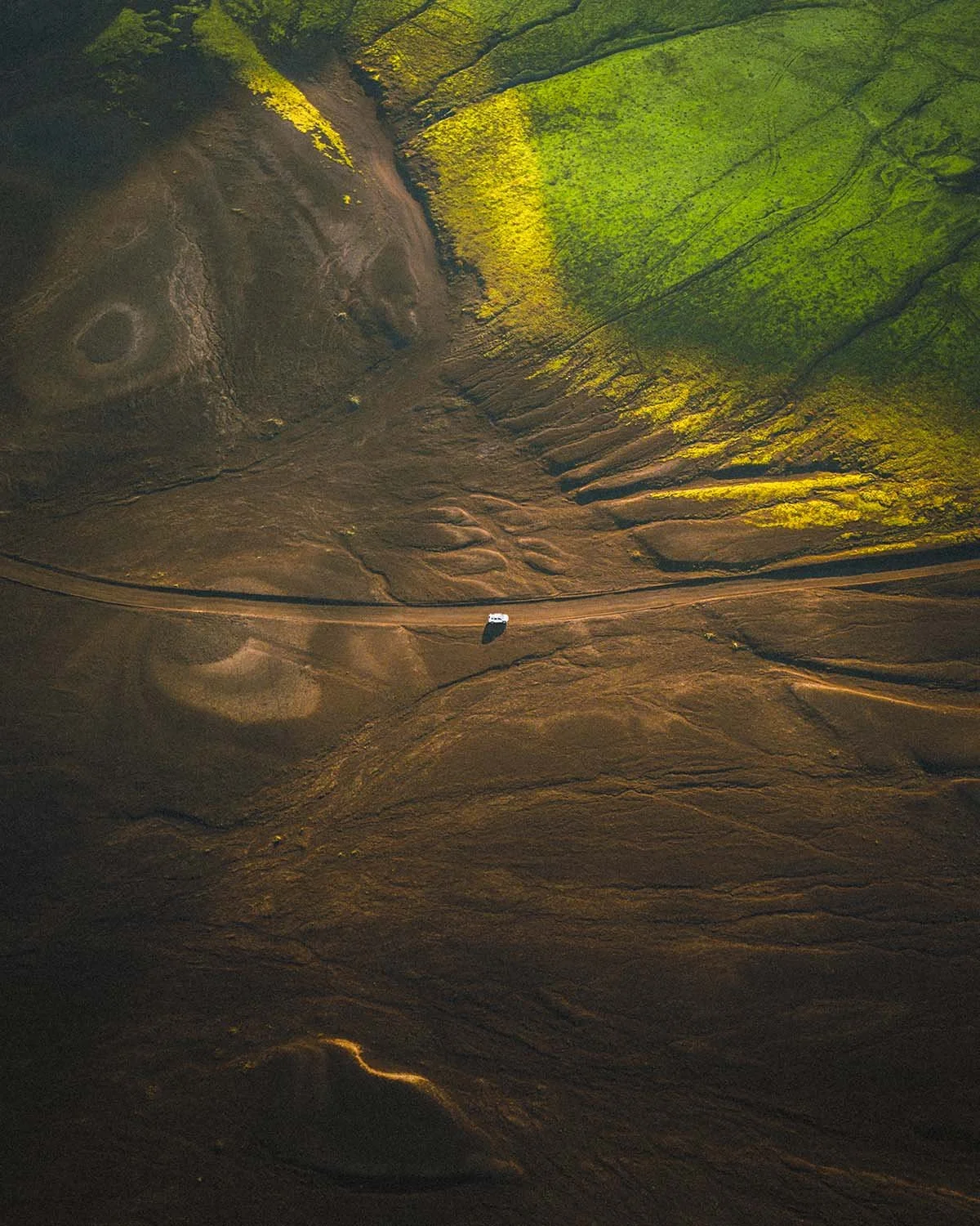Texture naturelle incroyable : champs de lave recouverts d'une mousse verte épaisse et fluorescente (Grimmia) le long de la piste F208 en Islande.