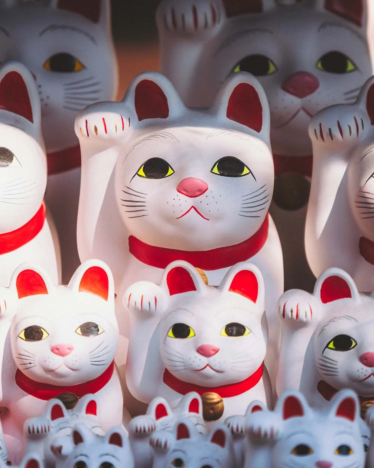 Milliers de statuettes de chats blancs porte-bonheur (Maneki-neko) alignées au temple Gotokuji à Tokyo. Détail culturel insolite photographié par Dimitri Weber.