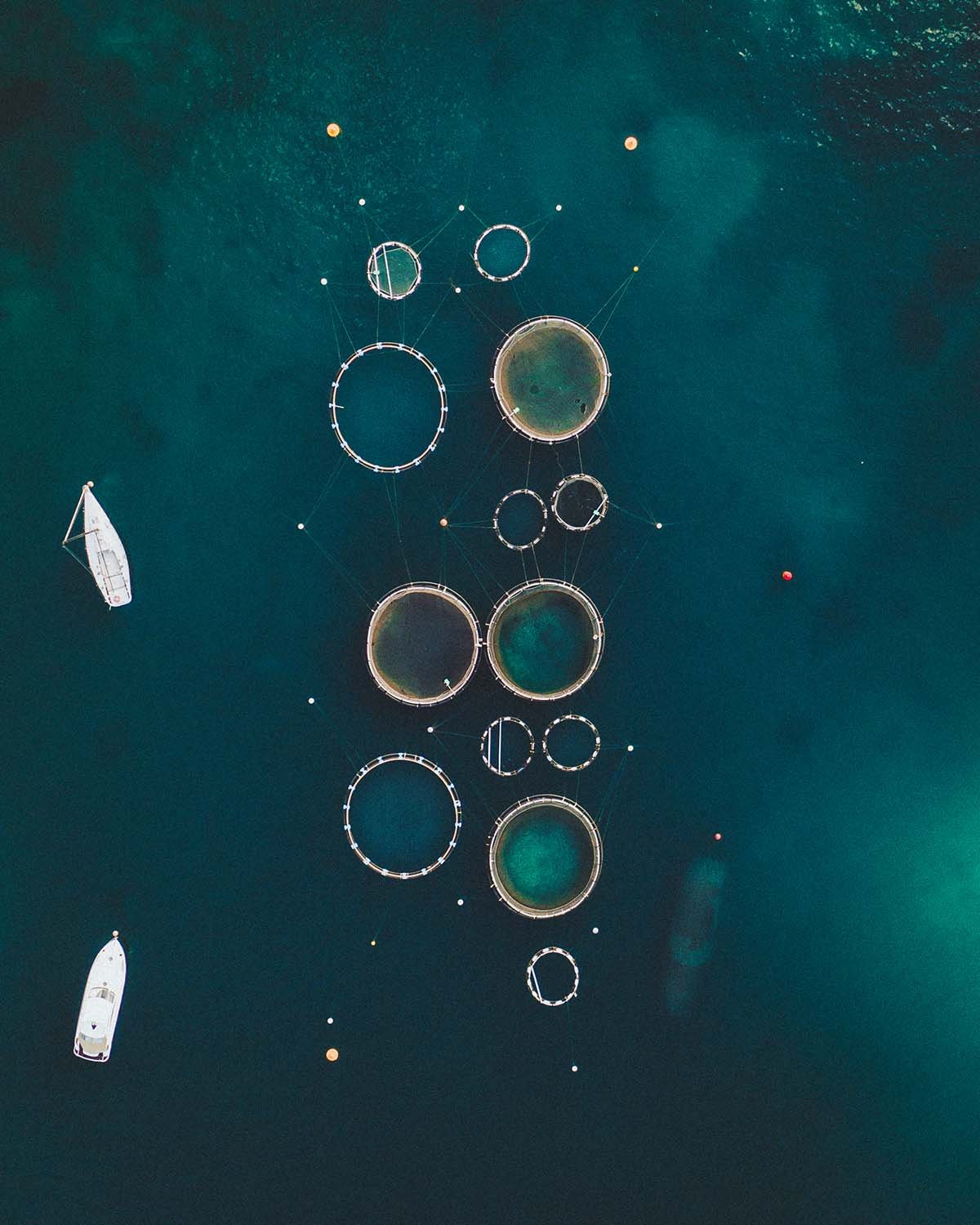 Anneaux sur la mer. La symétrie parfaite des cages d'aquaculture flottant sur la Méditerranée.
