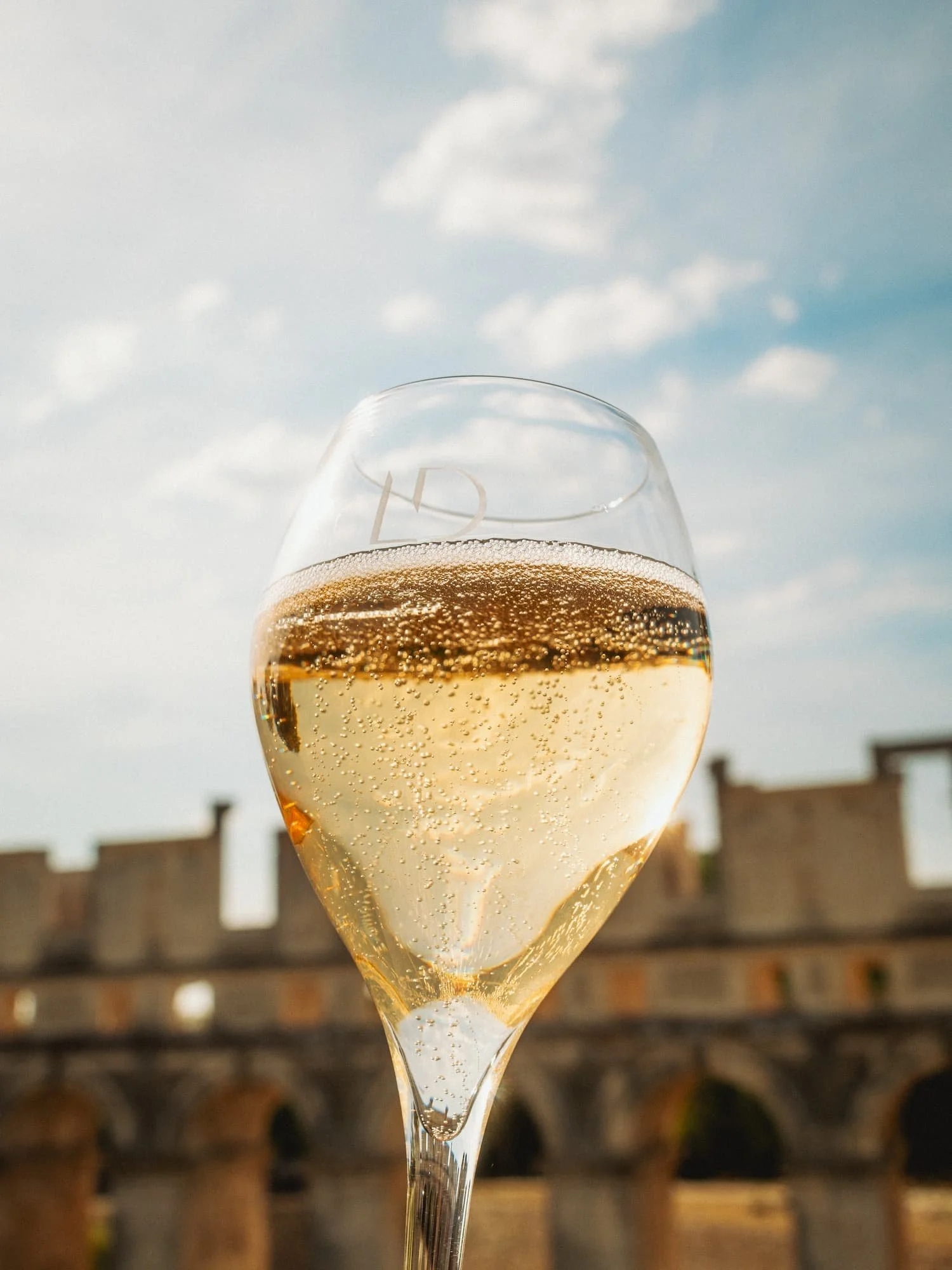 CHAMPAGNE LD 270626 CHATEAU FERE-38.jpg