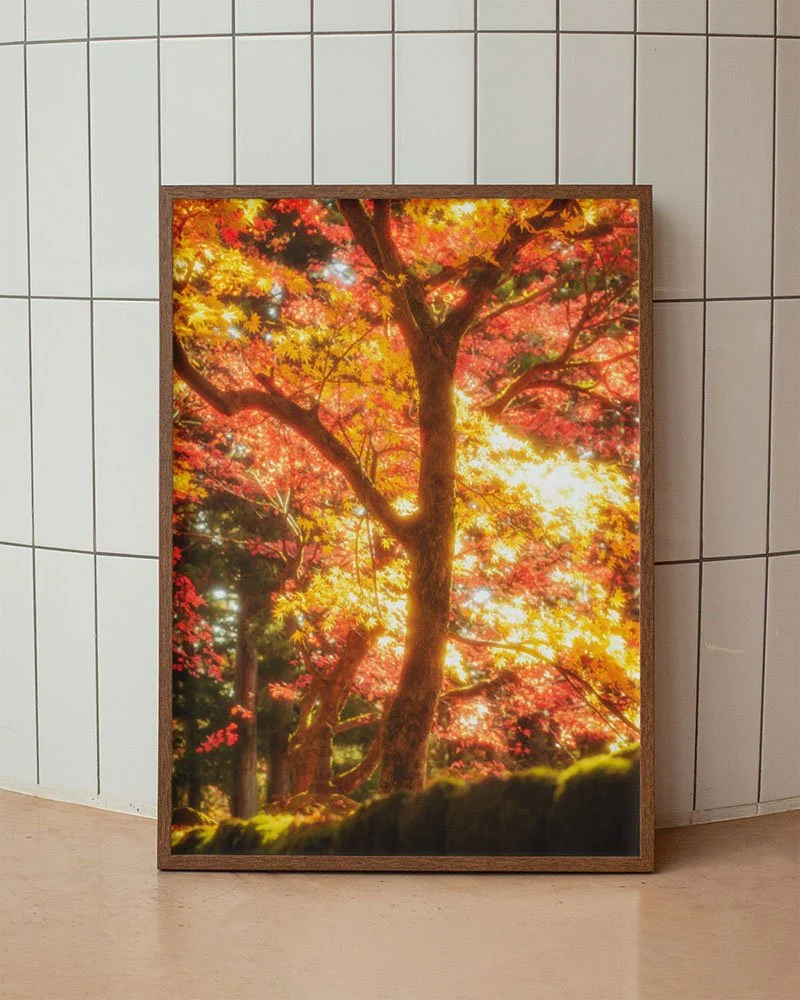 decoration-automnale-salon-erable-japonais-momiji-lumiere-doree.jpg
