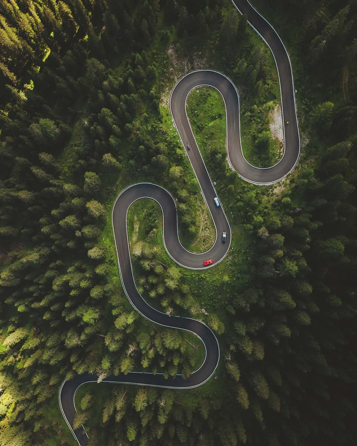 Le ruban noir. Une route serpente en silence à travers la densité sombre de la forêt alpine.