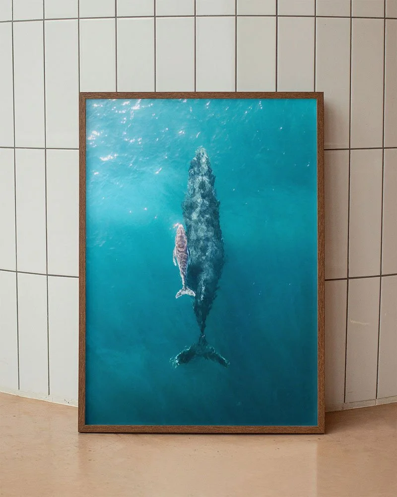 decoration-marine-baleine-bosse-australie-ocean-bleu-salon.jpg