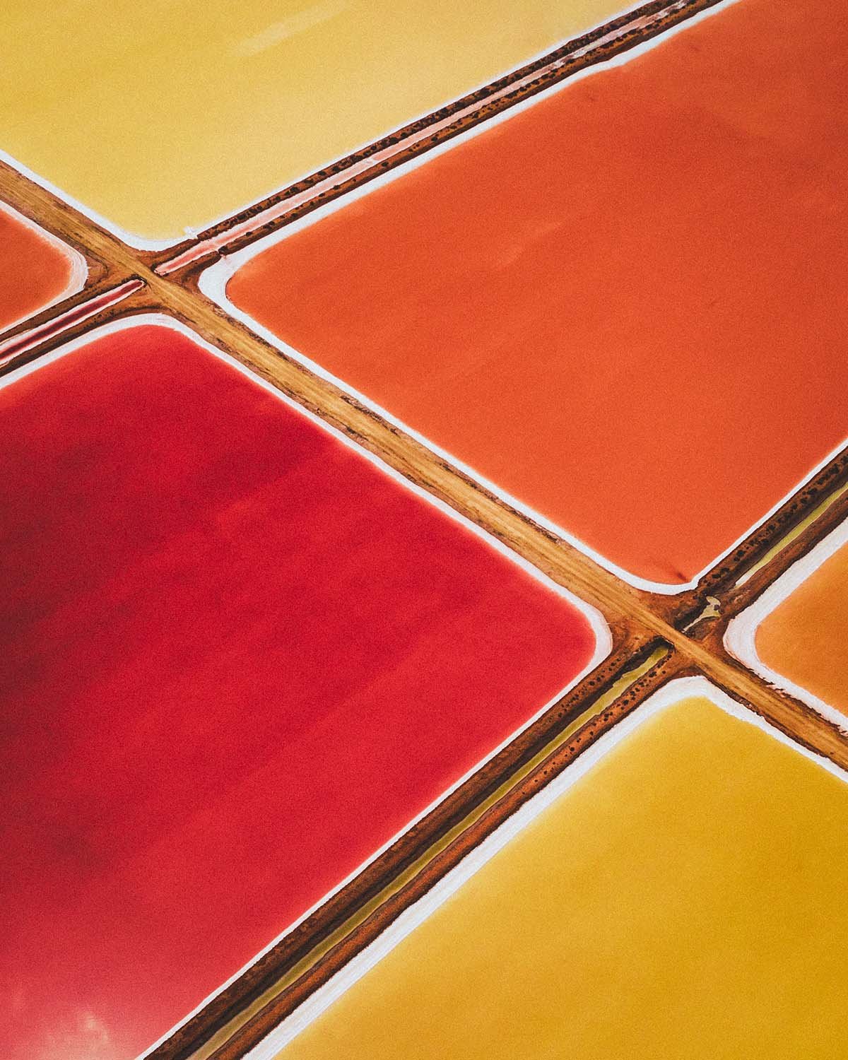 Palette industrielle. La récolte du sel découpe le paysage en bassins saturés, passant du jaune au rouge intense.