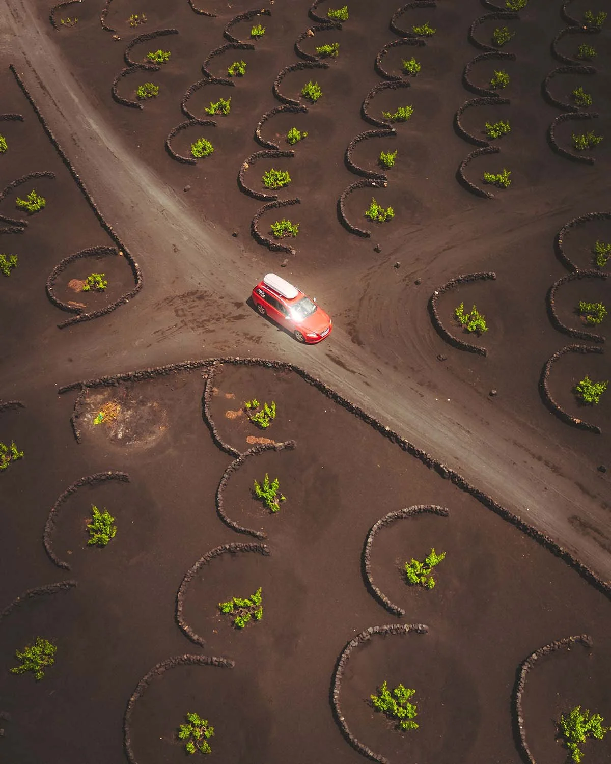 Voiture rouge sillonnant la route des vins de La Geria à Lanzarote, célèbre pour ses vignes cultivées dans des creux de cendres volcaniques (zocos).