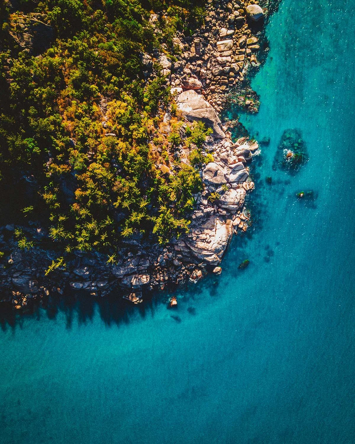 Là où le bush rencontre le récif. Contrastes de textures et d'eaux turquoises sur la côte du Queensland.