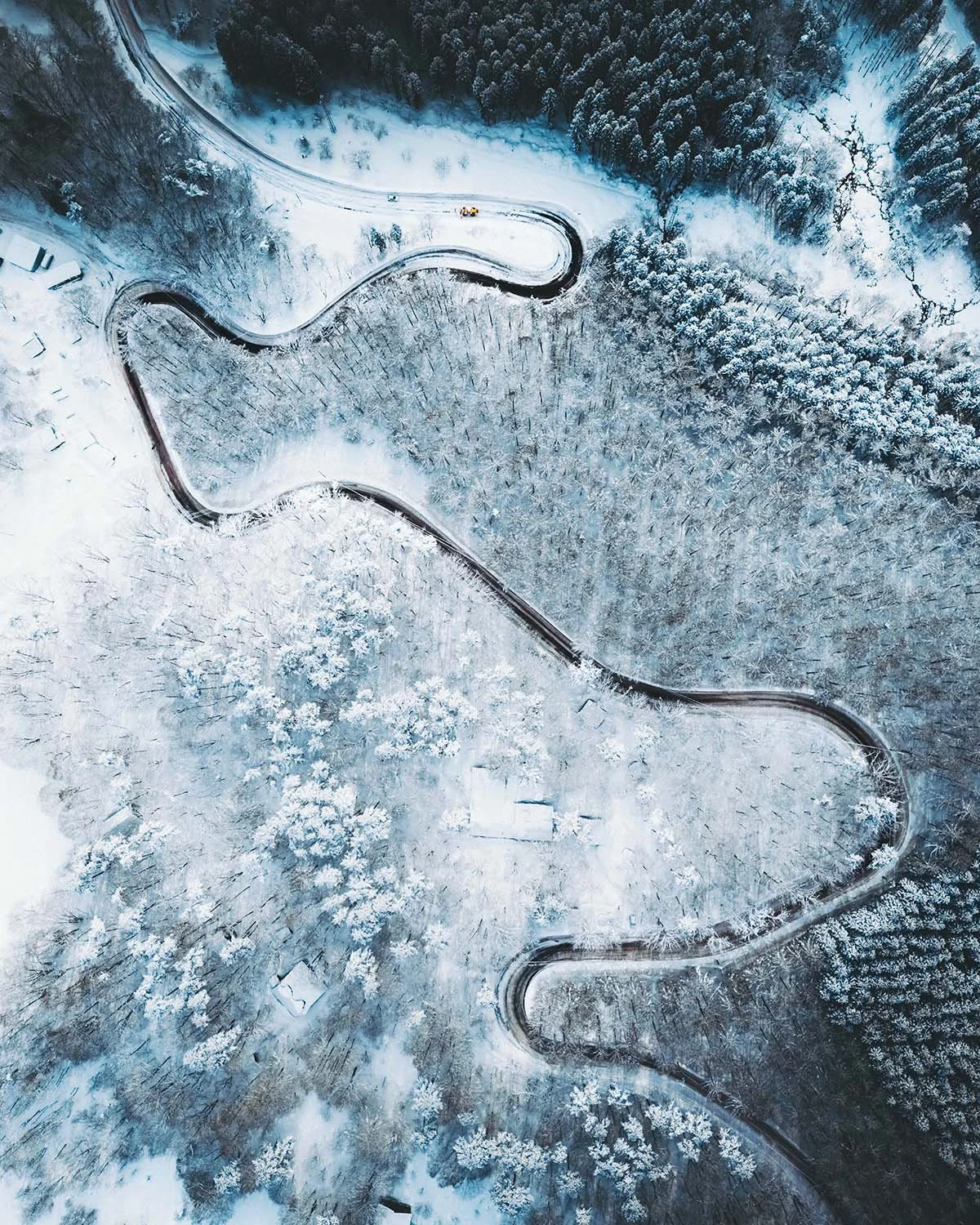 Vue aérienne zénithale (top-down) très graphique d'une route noire en lacet serpentant à travers une forêt blanche givrée. Minimalisme hivernal.