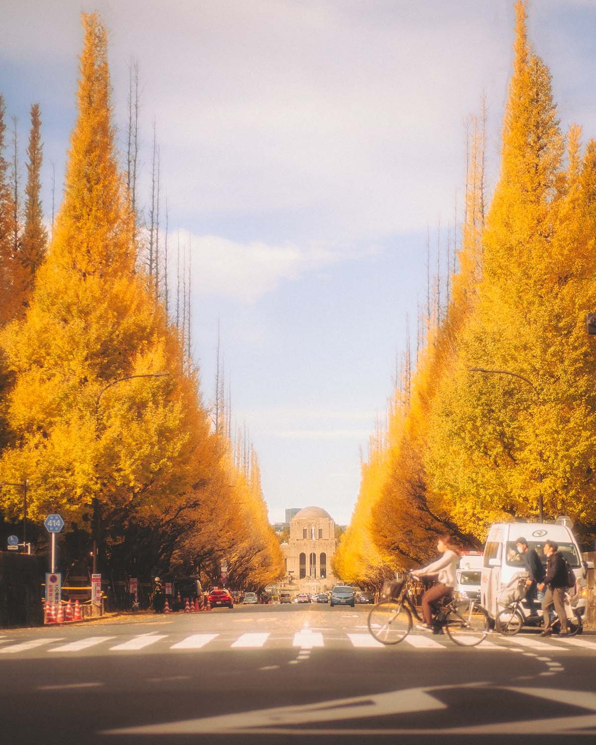 Perspective symétrique allée arbres Ginkgo Biloba feuilles jaunes or en automne avenue Meiji Jingu Gaien à Tokyo quartier Aoyama. Paysage urbain saisonnier architecture et nature parc public Japon.