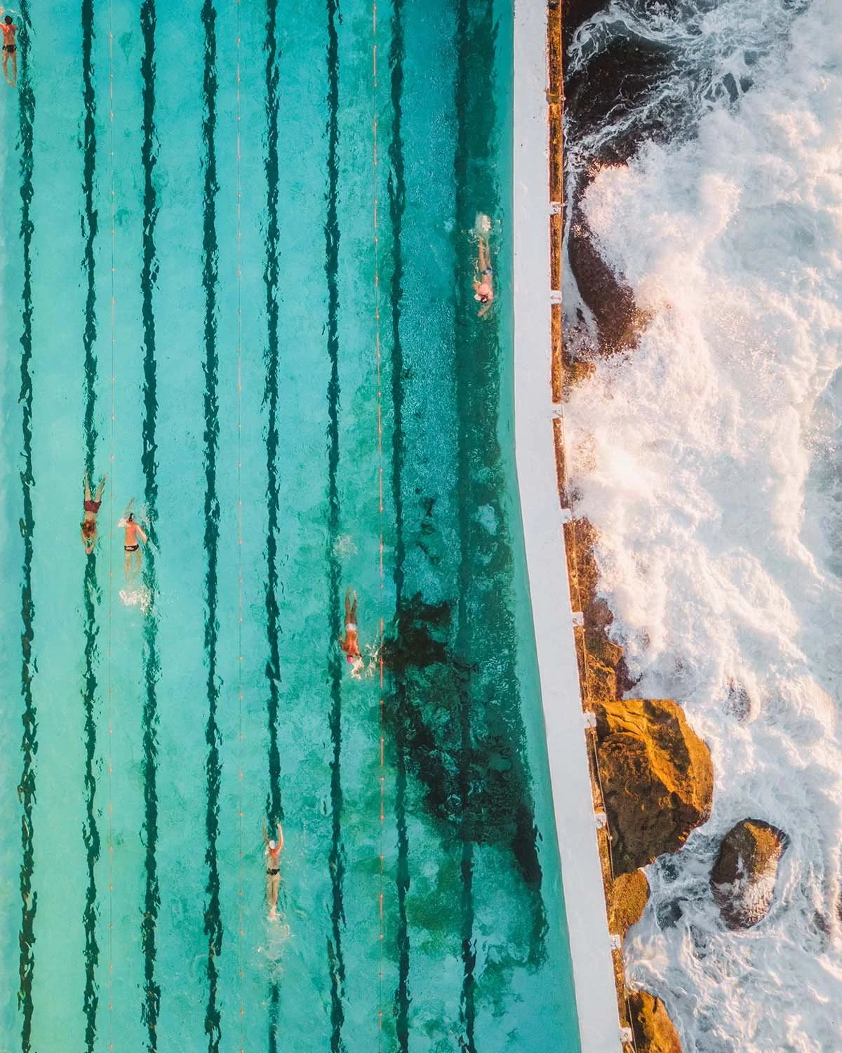 La célèbre piscine du Bondi Icebergs Club à Sydney, frappée par les vagues de l'océan. Image emblématique de la culture balnéaire australienne.