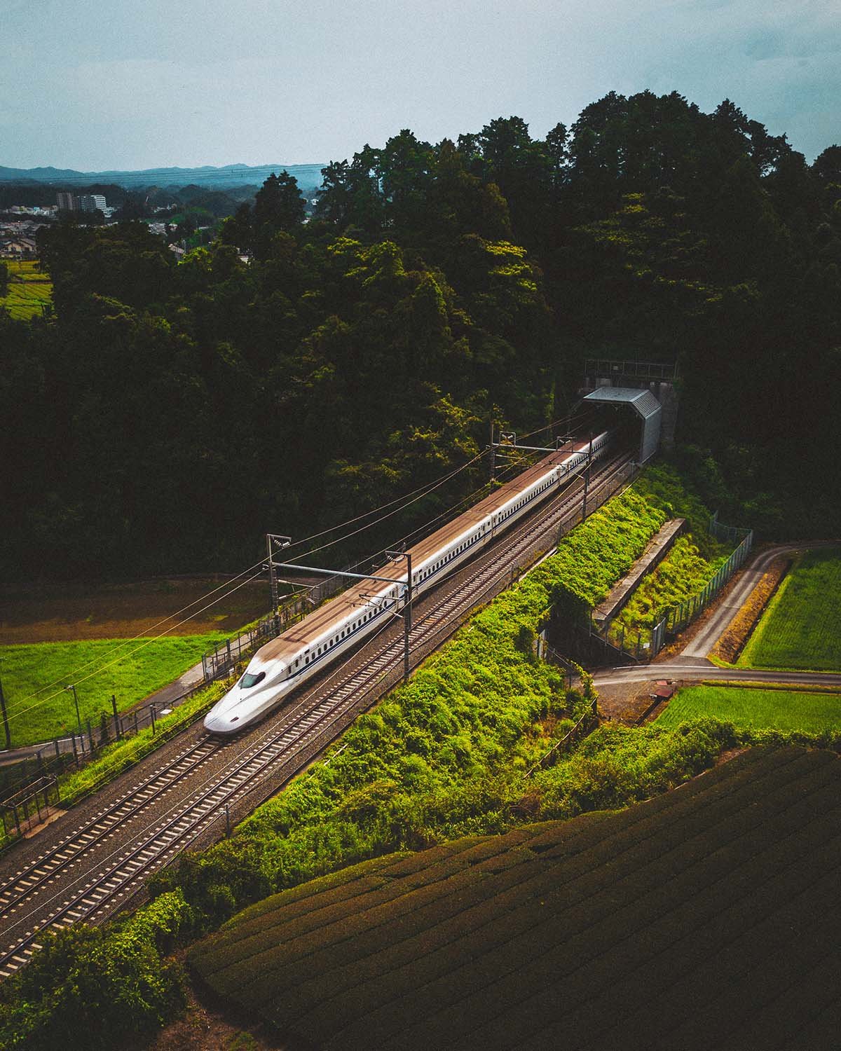 La vitesse fend le paysage. Un Shinkansen émerge de la forêt en direction de Tokyo.