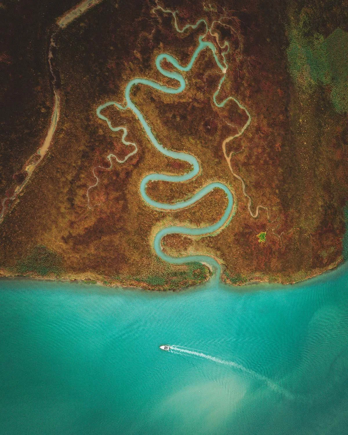 Le serpent d'eau. Un méandre turquoise se fraye un chemin hypnotique à travers les terres marécageuses.