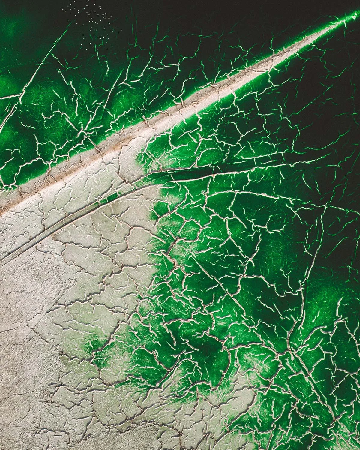 La peau polluée de la terre. Potassium et sel dessinent des motifs microscopiques vus du ciel.