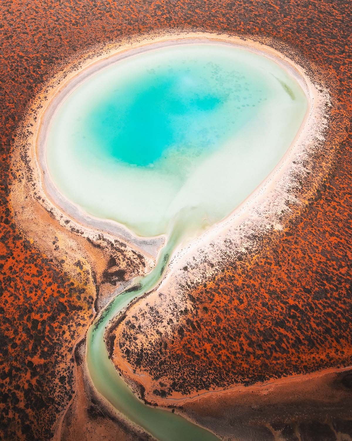 Le contraste saisissant entre un petit lac salé aux eaux bleues laiteuses et la terre rouge aride du bush australien. Photographie de paysage vue du ciel.