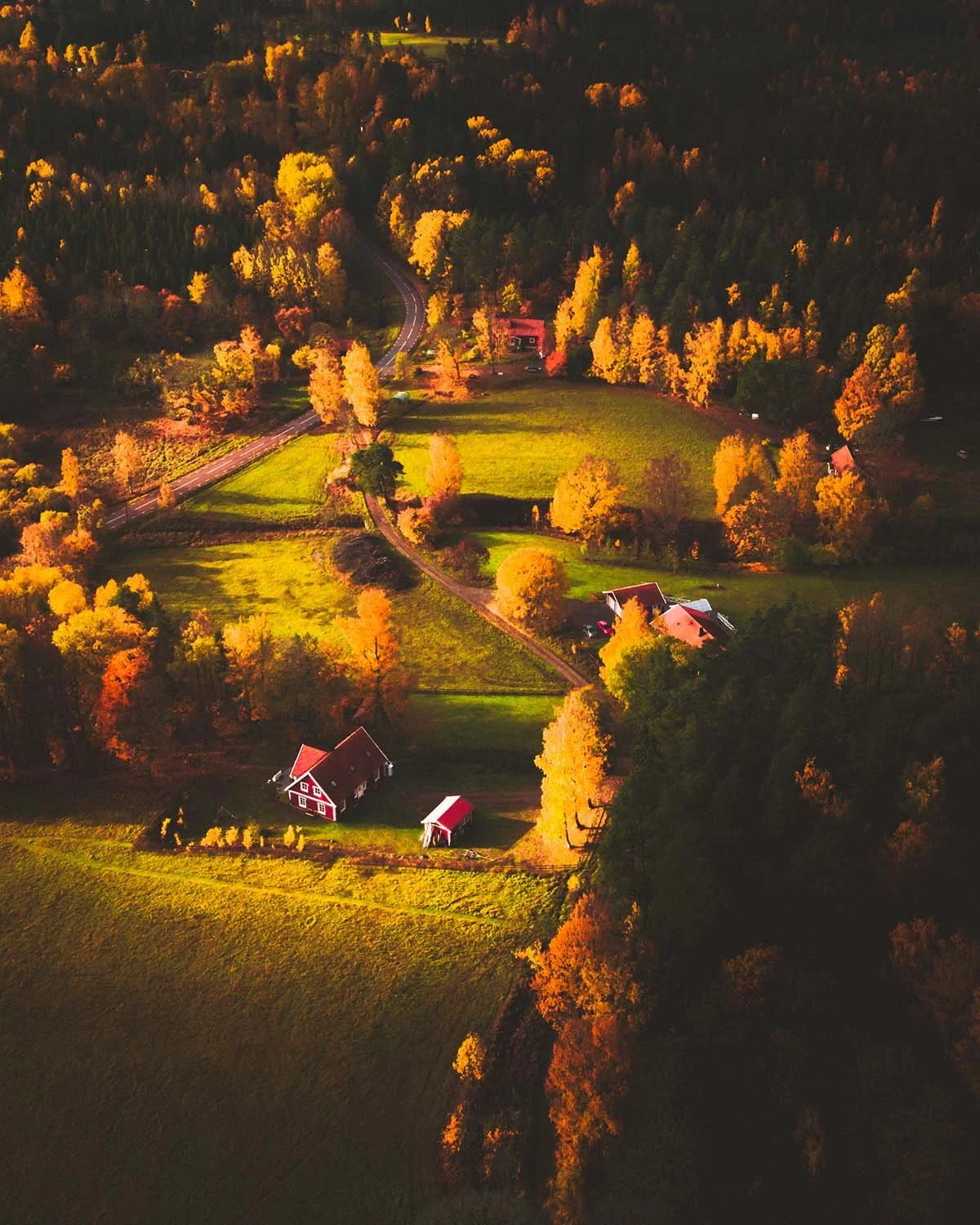 Automne scandinave. Une ferme traditionnelle isolée dans une forêt aux couleurs de feu.