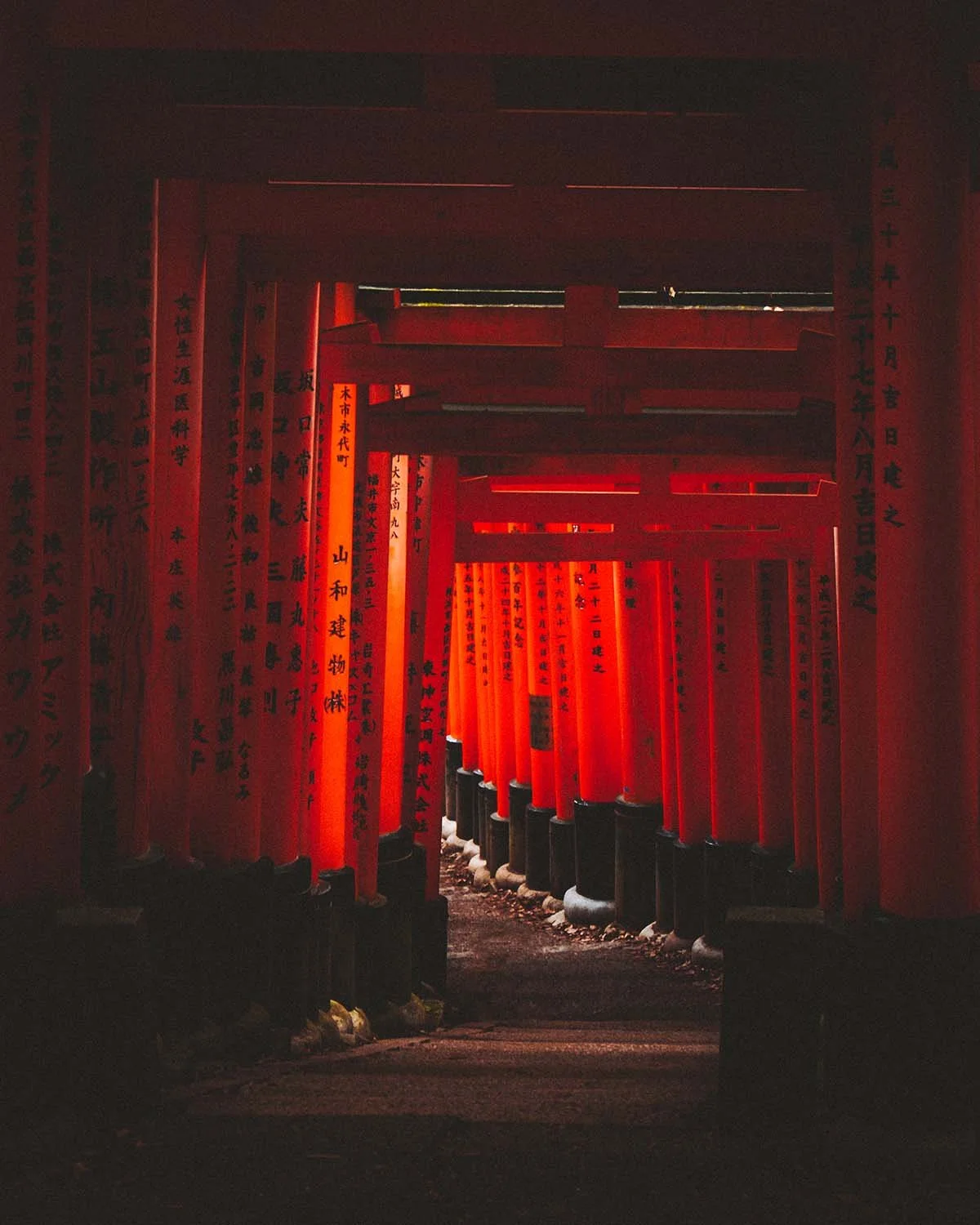 Immersion dans le tunnel vermillon de Fushimi Inari. Un chemin spirituel guidé par la lumière.
