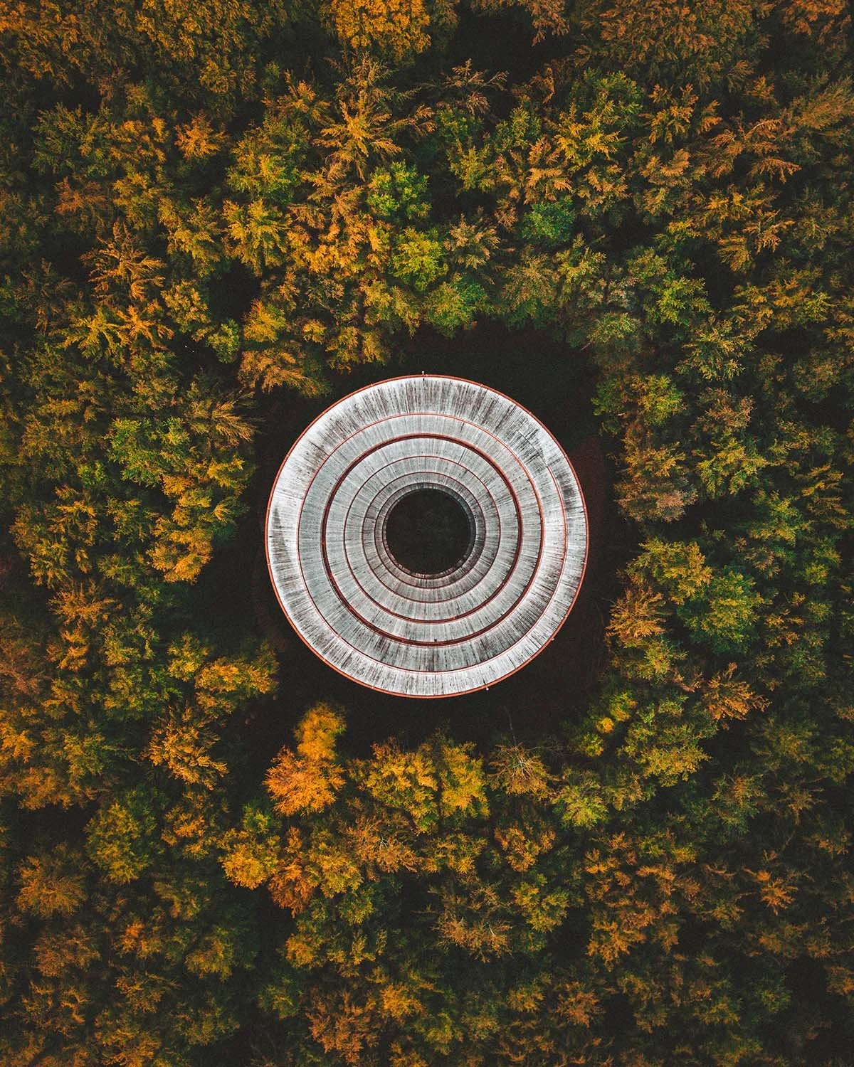 Architecture organique. La tour d'observation en bois se fond parfaitement dans la canopée danoise.