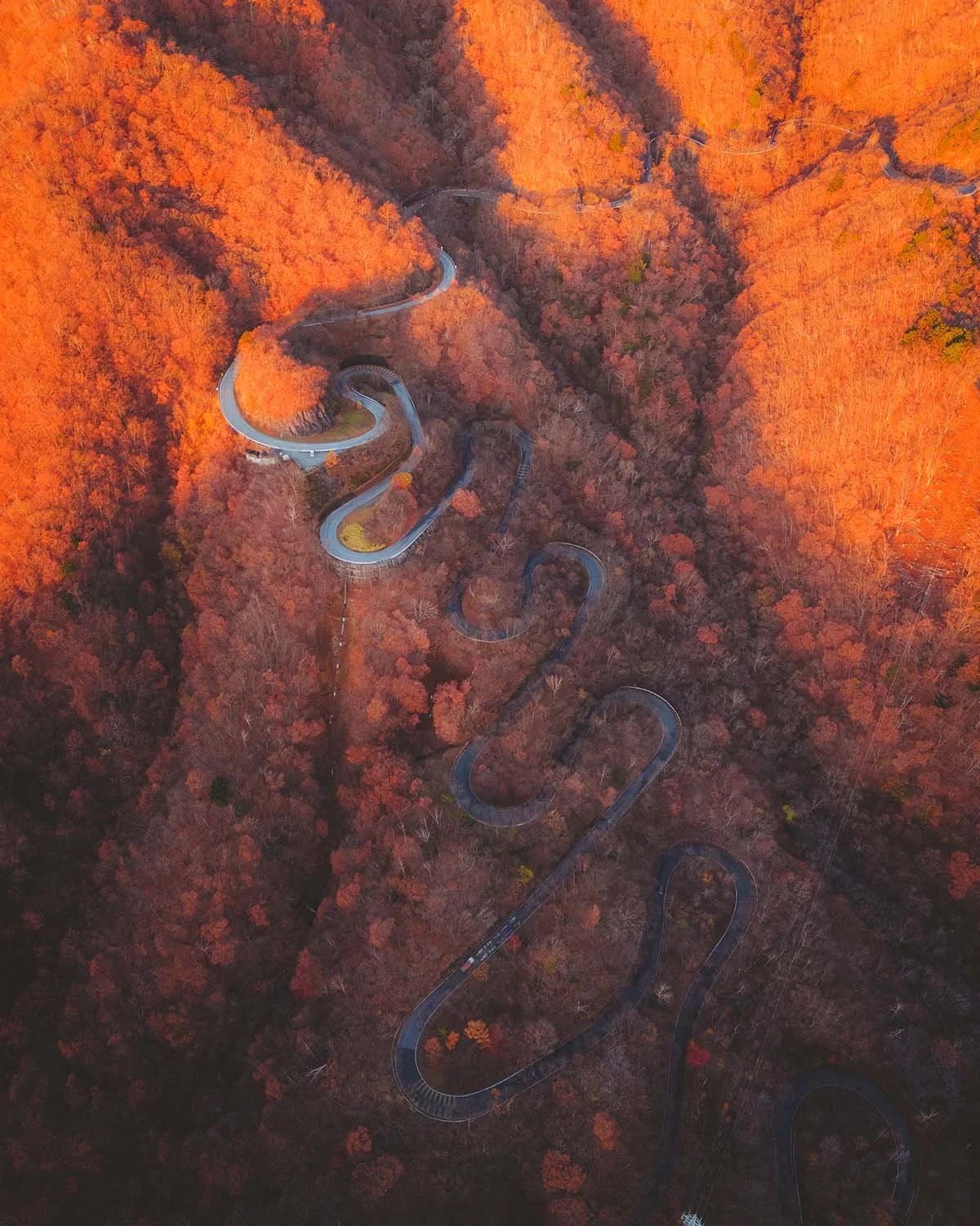 Vue drone route sinueuse virages épingle Irohazaka Winding Road Nikko Tochigi. Route touristique automne couleurs feuillages rouge orange momiji conduite sportive touge Japon.