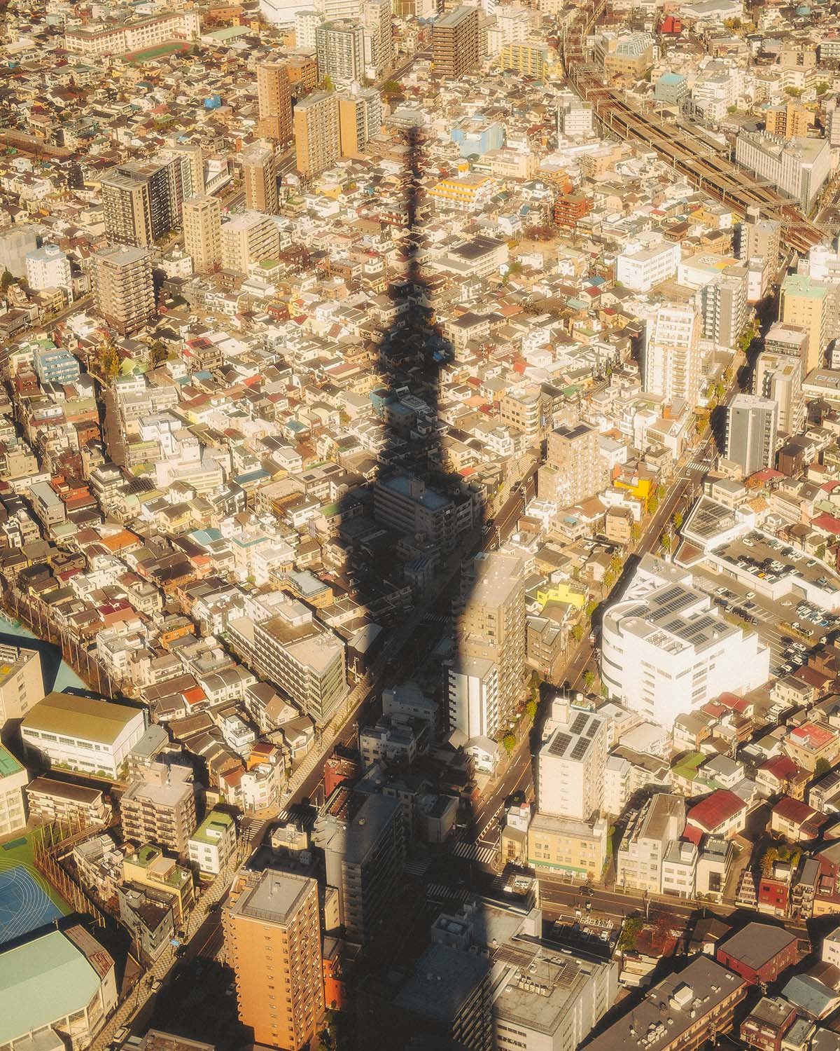 Vue aérienne impressionnante ombre portée tour Tokyo Skytree sur densité urbaine quartiers résidentiels Sumida Oshiage. Perspective unique ville Tokyo golden hour coucher soleil urbanisme Japon.