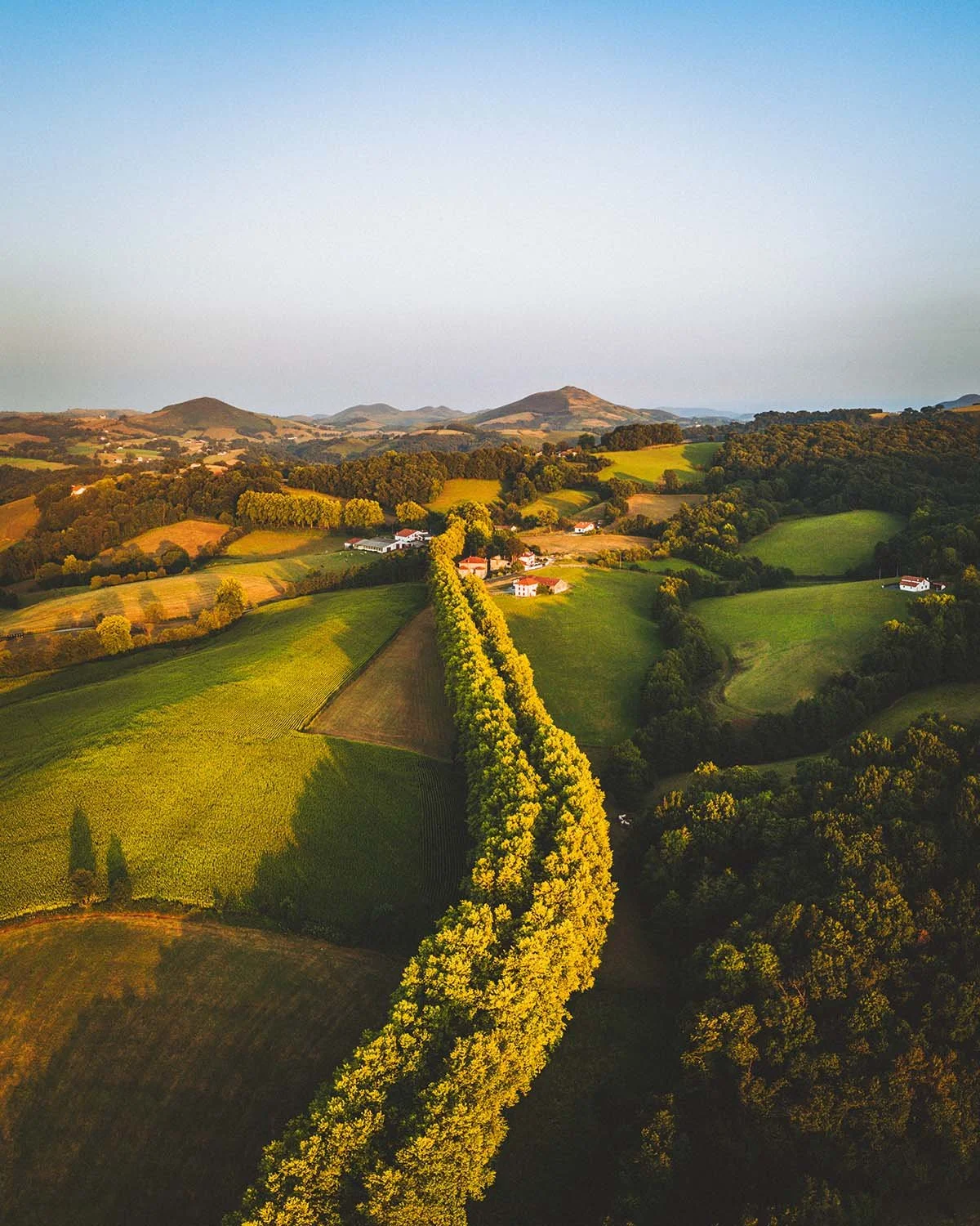 Vagues d'émeraude. La lumière douce de l'aube caresse les collines ondulantes de l'arrière-pays basque.