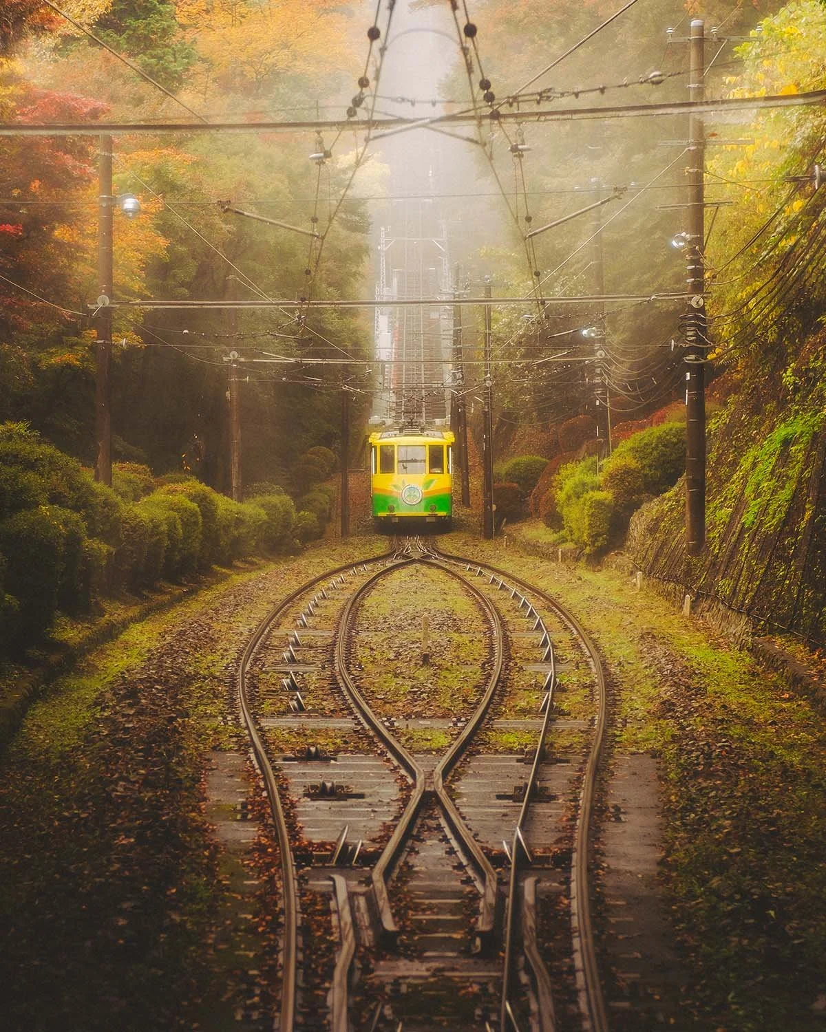Funiculaire train câble rails montée forte pente forêt automne feuilles mortes. Transport ferroviaire touristique montagne Japon ambiance nostalgique voyage ferroviaire.