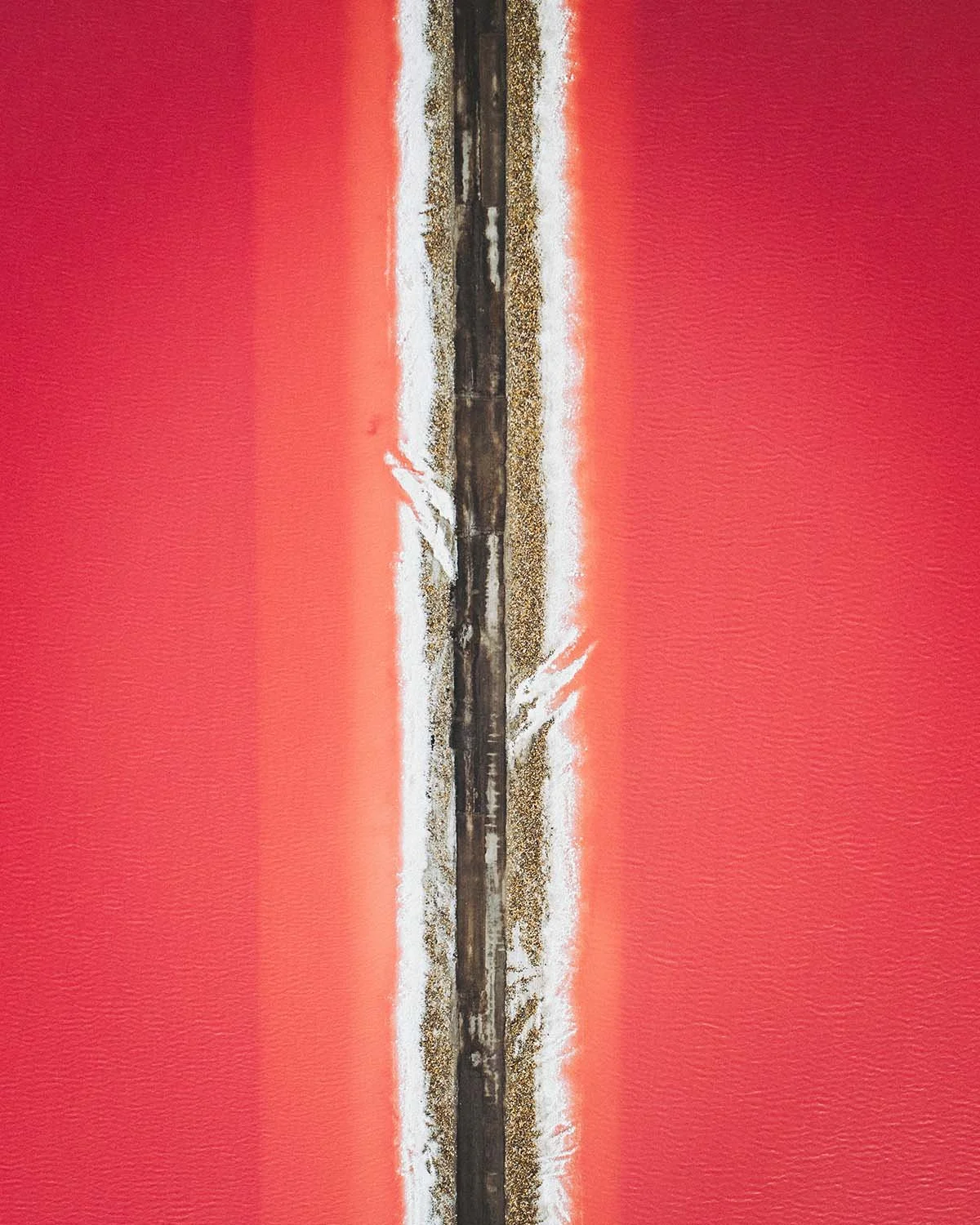 La ligne de sel. Une digue trace un trait parfait à travers les eaux saturées de rose des marais salants.